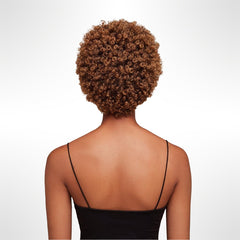 Afro Lace Wig - Soft Natural Curl